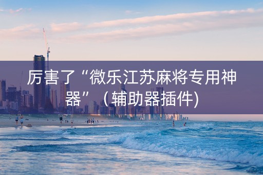 厉害了“微乐江苏麻将专用神器”（辅助器插件)