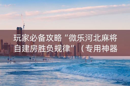 玩家必备攻略“微乐河北麻将自建房胜负规律”（专用神器下载)
