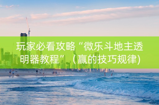 玩家必看攻略“微乐斗地主透明器教程”（赢的技巧规律)