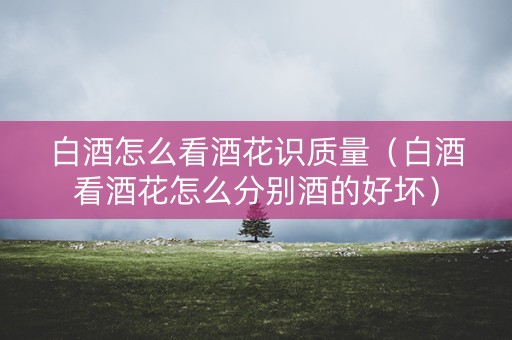 白酒怎么看酒花识质量（白酒看酒花怎么分别酒的好坏）