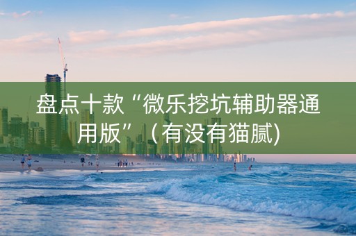 盘点十款“微乐挖坑辅助器通用版”（有没有猫腻)