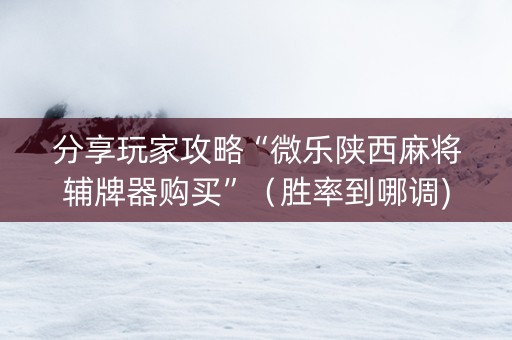 分享玩家攻略“微乐陕西麻将辅牌器购买”（胜率到哪调)