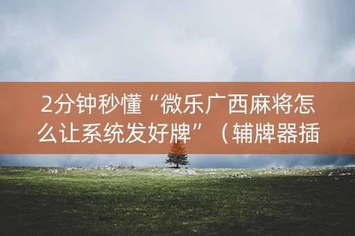 2分钟秒懂“微乐广西麻将怎么让系统发好牌”（辅牌器插件购买)