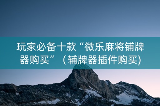 玩家必备十款“微乐麻将铺牌器购买”（辅牌器插件购买)