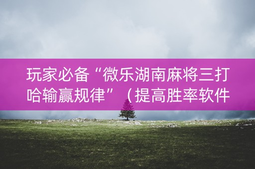 玩家必备“微乐湖南麻将三打哈输赢规律”（提高胜率软件)