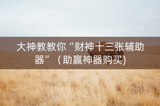 大神教教你“财神十三张辅助器”（助赢神器购买)