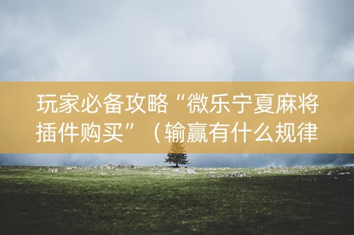 玩家必备攻略“微乐宁夏麻将插件购买”（输赢有什么规律)