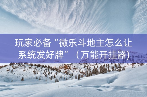 玩家必备“微乐斗地主怎么让系统发好牌”（万能开挂器)