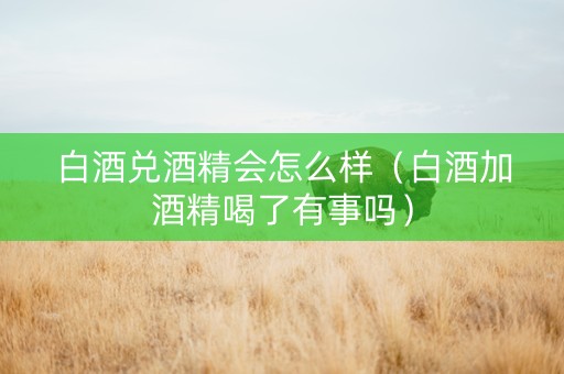 白酒兑酒精会怎么样（白酒加酒精喝了有事吗）
