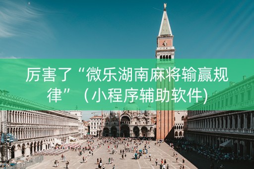厉害了“微乐湖南麻将输赢规律”（小程序辅助软件)