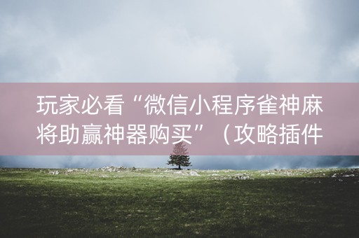 玩家必看“微信小程序雀神麻将助赢神器购买”（攻略插件)