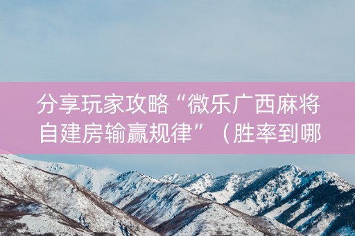 分享玩家攻略“微乐广西麻将自建房输赢规律”（胜率到哪调)