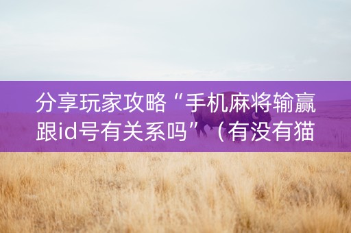 分享玩家攻略“手机麻将输赢跟id号有关系吗”（有没有猫腻)