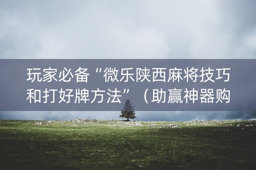 玩家必备“微乐陕西麻将技巧和打好牌方法”（助赢神器购买)