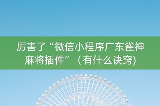厉害了“微信小程序广东雀神麻将插件”（有什么诀窍)