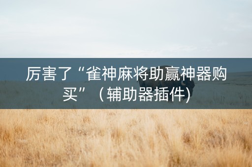 厉害了“雀神麻将助赢神器购买”（辅助器插件)