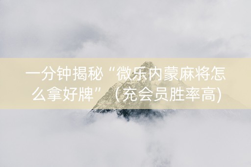 一分钟揭秘“微乐内蒙麻将怎么拿好牌”（充会员胜率高)