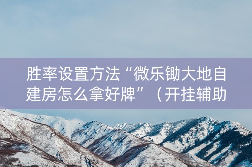 胜率设置方法“微乐锄大地自建房怎么拿好牌”（开挂辅助器脚本)