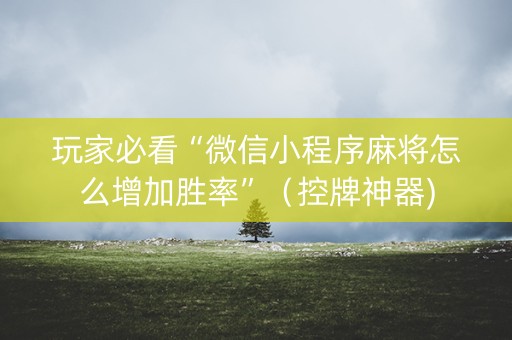 玩家必看“微信小程序麻将怎么增加胜率”（控牌神器)