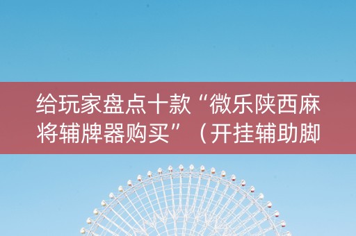 给玩家盘点十款“微乐陕西麻将辅牌器购买”（开挂辅助脚本)
