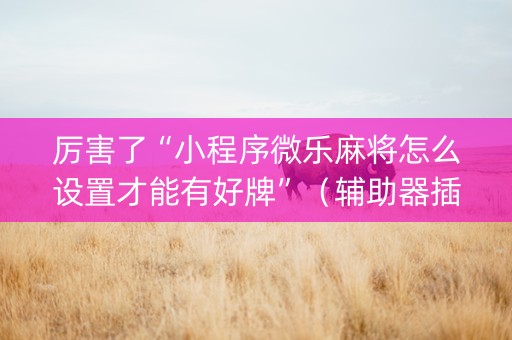 厉害了“小程序微乐麻将怎么设置才能有好牌”（辅助器插件)