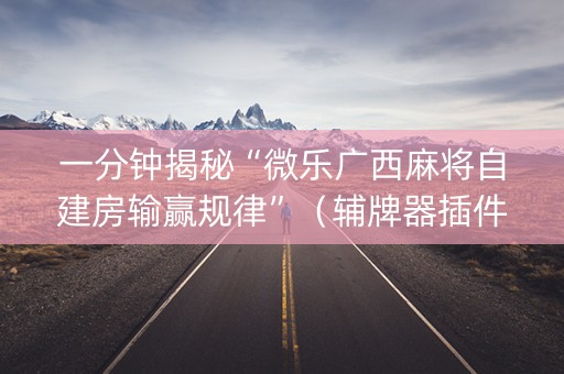 一分钟揭秘“微乐广西麻将自建房输赢规律”（辅牌器插件购买)