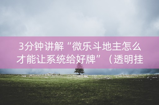 3分钟讲解“微乐斗地主怎么才能让系统给好牌”（透明挂辅助器)