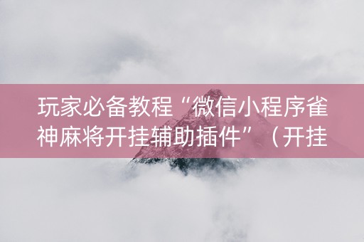 玩家必备教程“微信小程序雀神麻将开挂辅助插件”（开挂辅助器脚本)