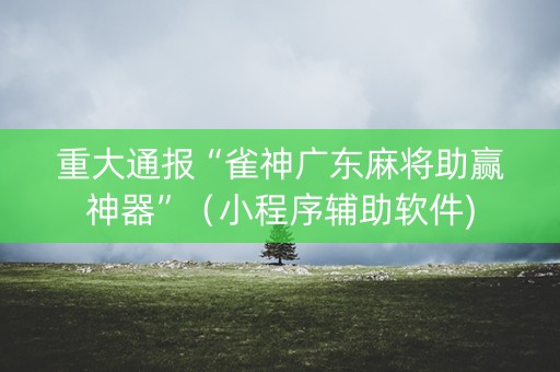 重大通报“雀神广东麻将助赢神器”（小程序辅助软件)