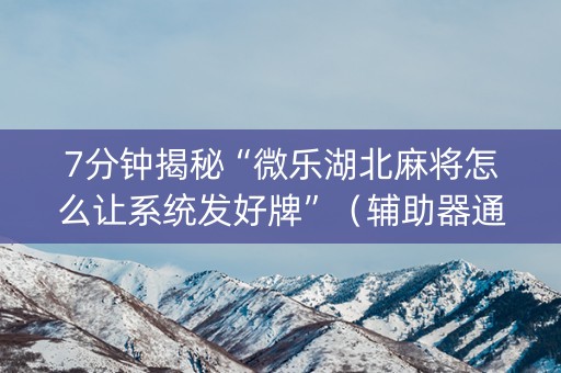 7分钟揭秘“微乐湖北麻将怎么让系统发好牌”（辅助器通用版)