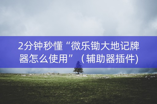 2分钟秒懂“微乐锄大地记牌器怎么使用”（辅助器插件)