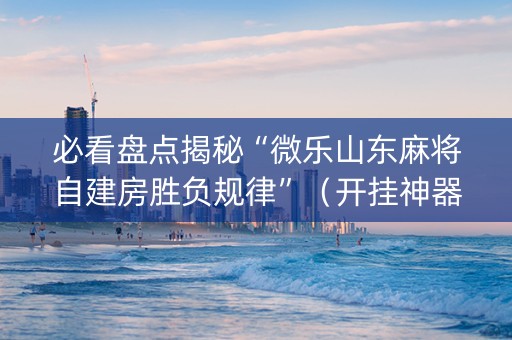 必看盘点揭秘“微乐山东麻将自建房胜负规律”（开挂神器下载)