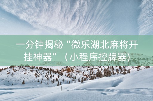一分钟揭秘“微乐湖北麻将开挂神器”（小程序控牌器)