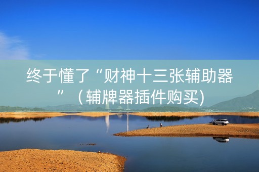 终于懂了“财神十三张辅助器”（辅牌器插件购买)