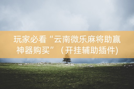 玩家必看“云南微乐麻将助赢神器购买”（开挂辅助插件)