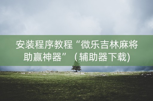安装程序教程“微乐吉林麻将助赢神器”（辅助器下载)