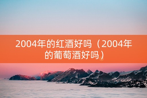 2004年的红酒好吗（2004年的葡萄酒好吗）