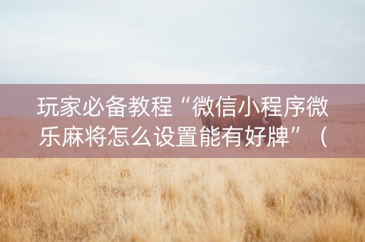 玩家必备教程“微信小程序微乐麻将怎么设置能有好牌”（发牌有什么规律吗)
