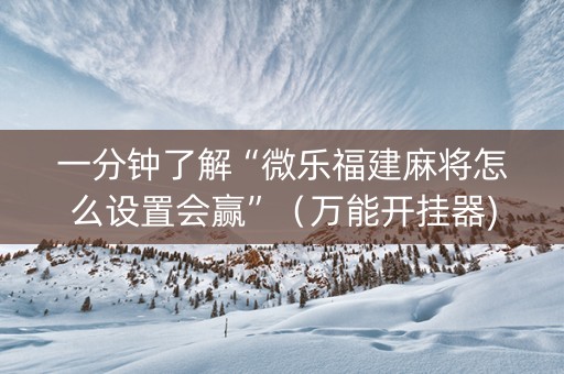 一分钟了解“微乐福建麻将怎么设置会赢”（万能开挂器)