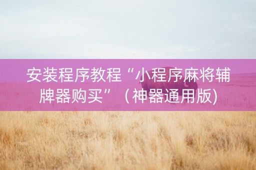 安装程序教程“小程序麻将辅牌器购买”（神器通用版)