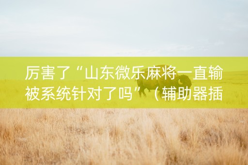 厉害了“山东微乐麻将一直输被系统针对了吗”（辅助器插件)