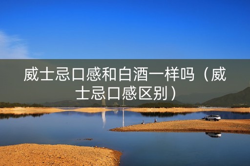威士忌口感和白酒一样吗（威士忌口感区别）