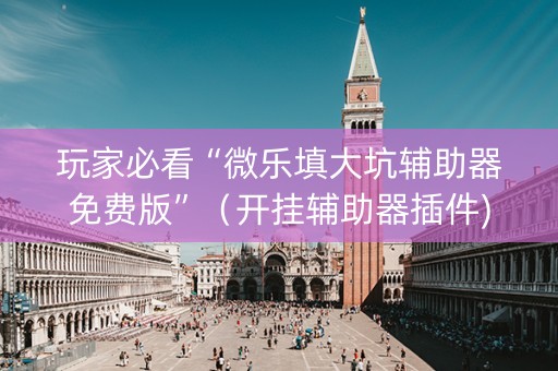 玩家必看“微乐填大坑辅助器免费版”（开挂辅助器插件)