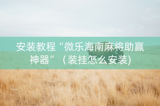 安装教程“微乐海南麻将助赢神器”（装挂怎么安装)