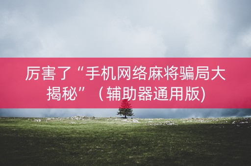厉害了“手机网络麻将骗局大揭秘”（辅助器通用版)