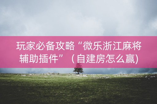 玩家必备攻略“微乐浙江麻将辅助插件”（自建房怎么赢)