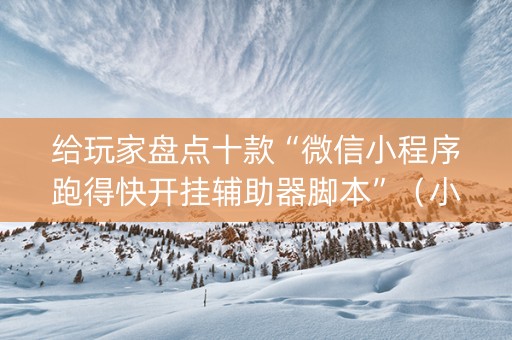 给玩家盘点十款“微信小程序跑得快开挂辅助器脚本”（小程序辅助软件)