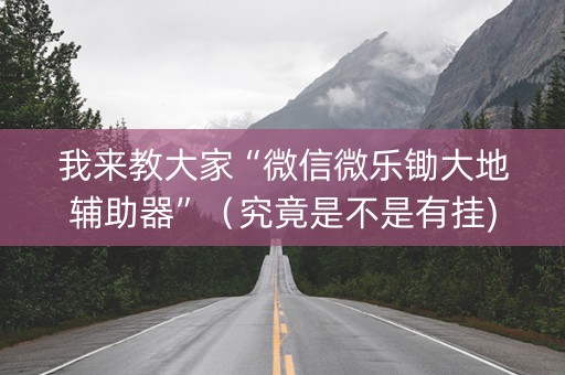 我来教大家“微信微乐锄大地辅助器”（究竟是不是有挂)
