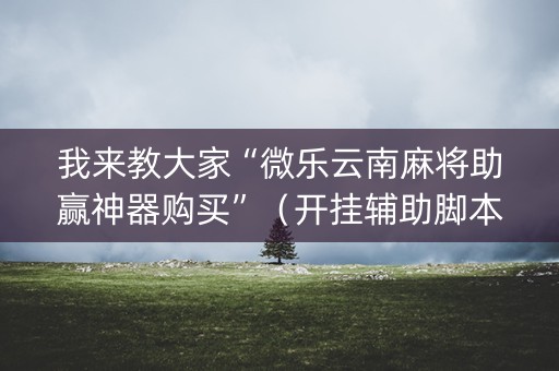 我来教大家“微乐云南麻将助赢神器购买”（开挂辅助脚本)