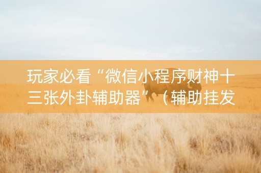 玩家必看“微信小程序财神十三张外卦辅助器”（辅助挂发牌规律)